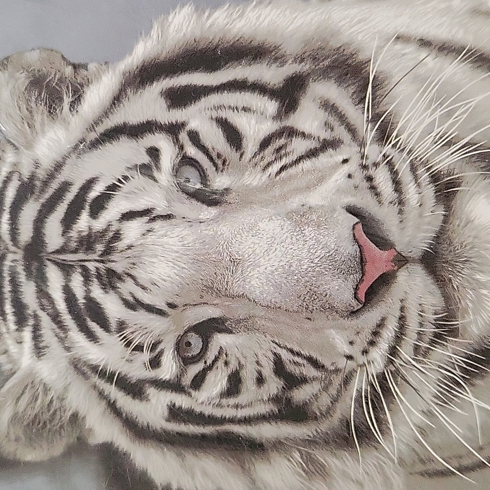 Blanket 60 IN by 80 IN long